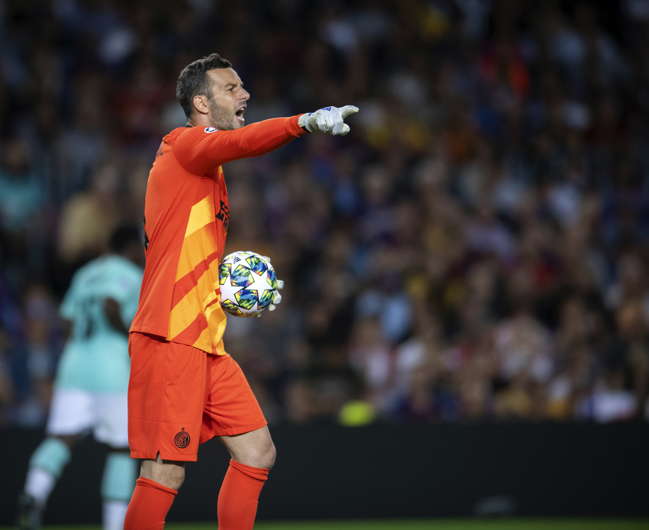 通过规范化 通过规范化