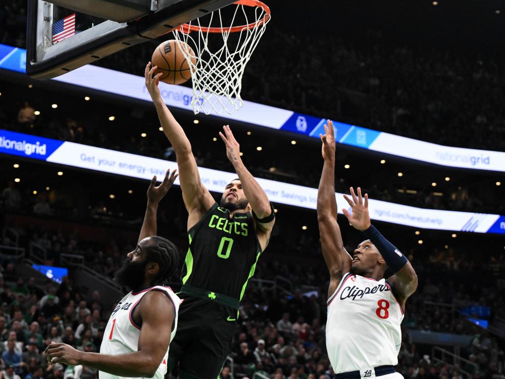 结果证明了 结果证明了